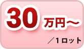 30万円~